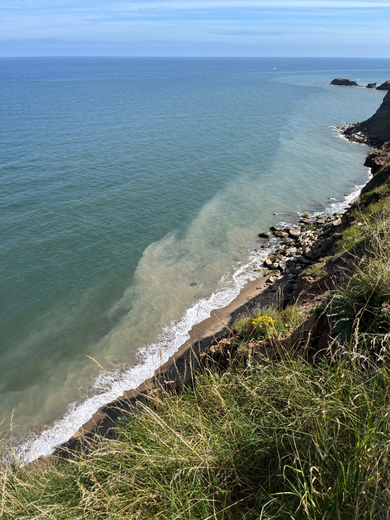 View from Coastal Path Near Whitby Abbey, Whitby